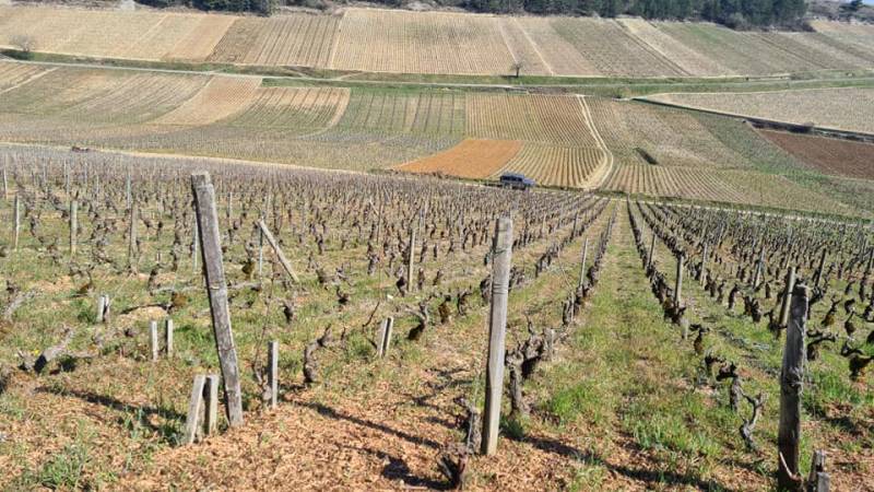Domaine Jean-Marc Boillot