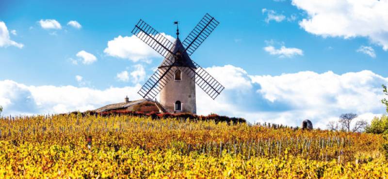 Domaine Jules Desjourneys