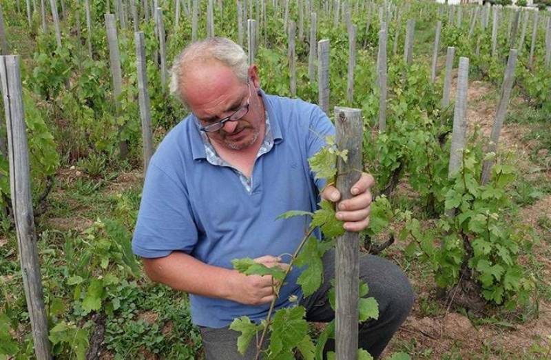 Domaine Jules Desjourneys