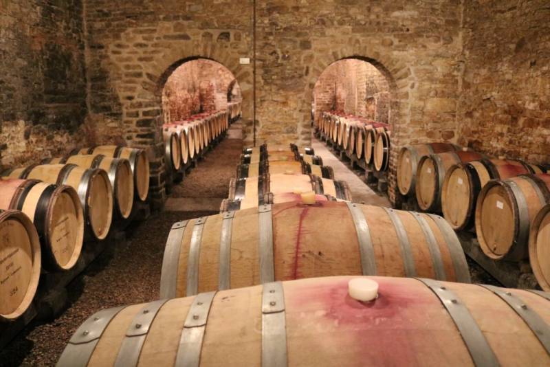 Domaine Pierre Brisset