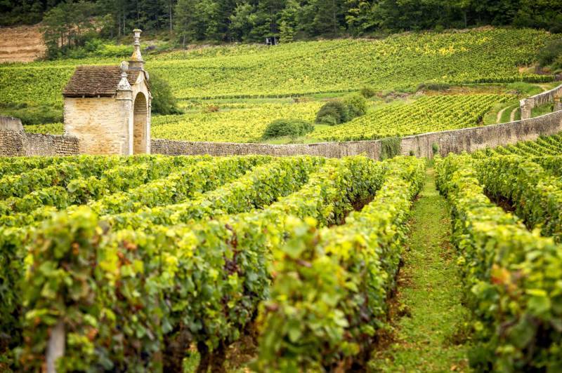 Domaine Robert Groffier