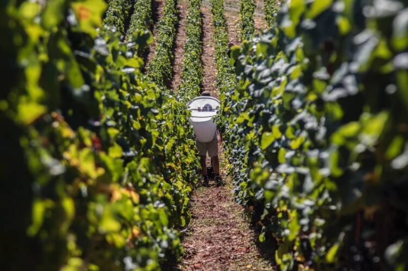 Domaine Robert Groffier