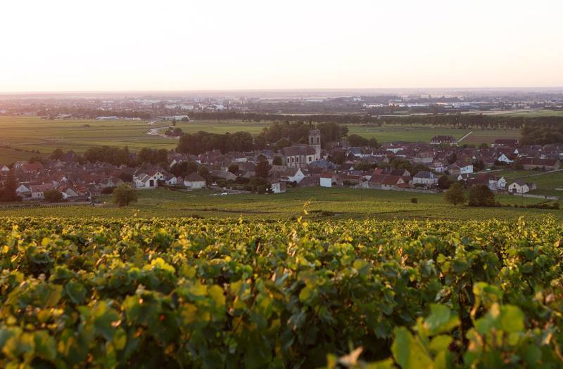 Domaine Y. Clerget