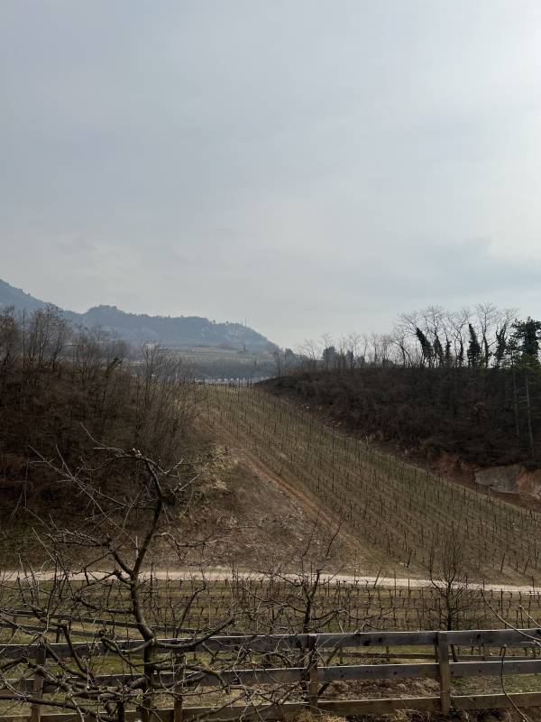 Foradori