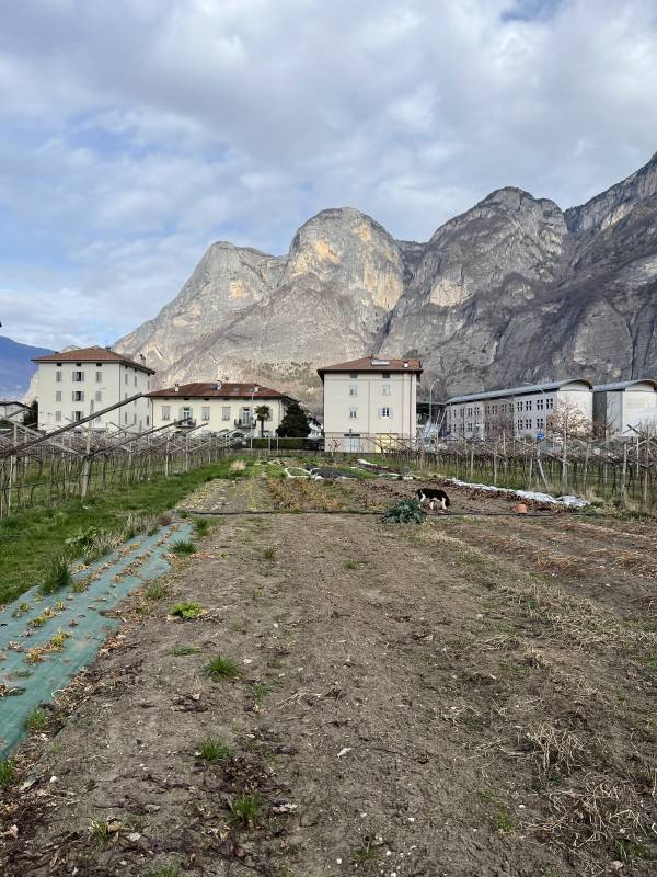 Foradori