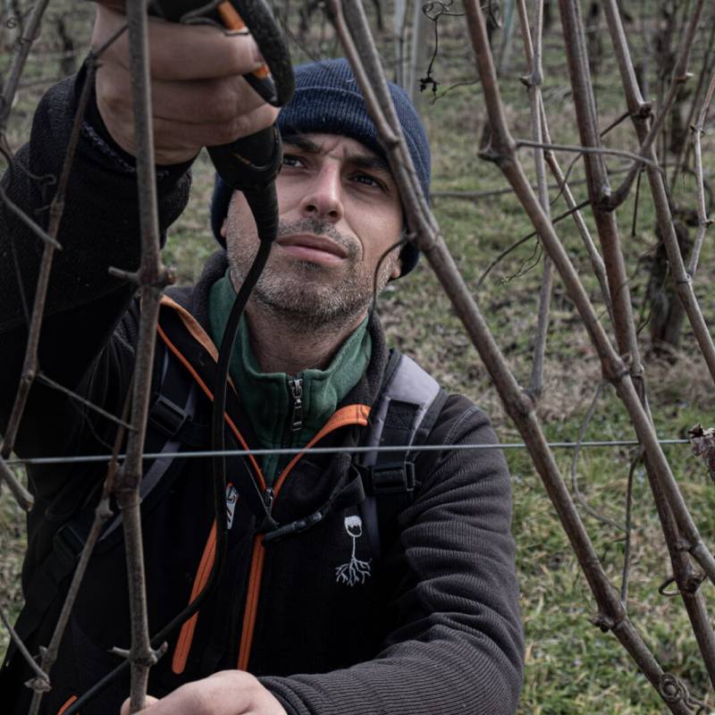 Gian Luca Colombo