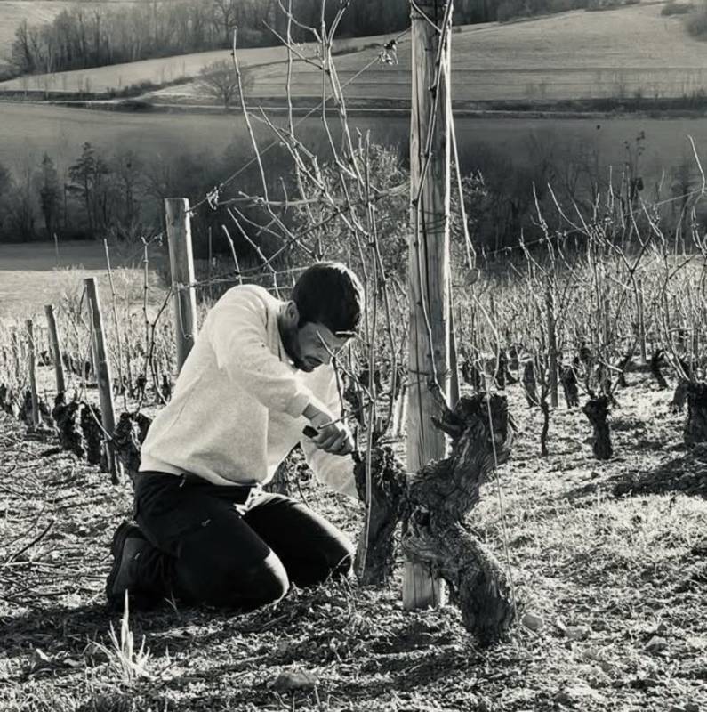 Henri Chauvet