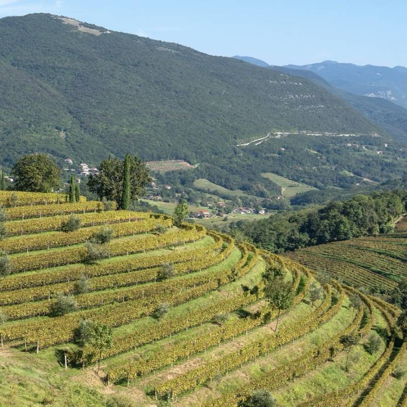 Josko Gravner