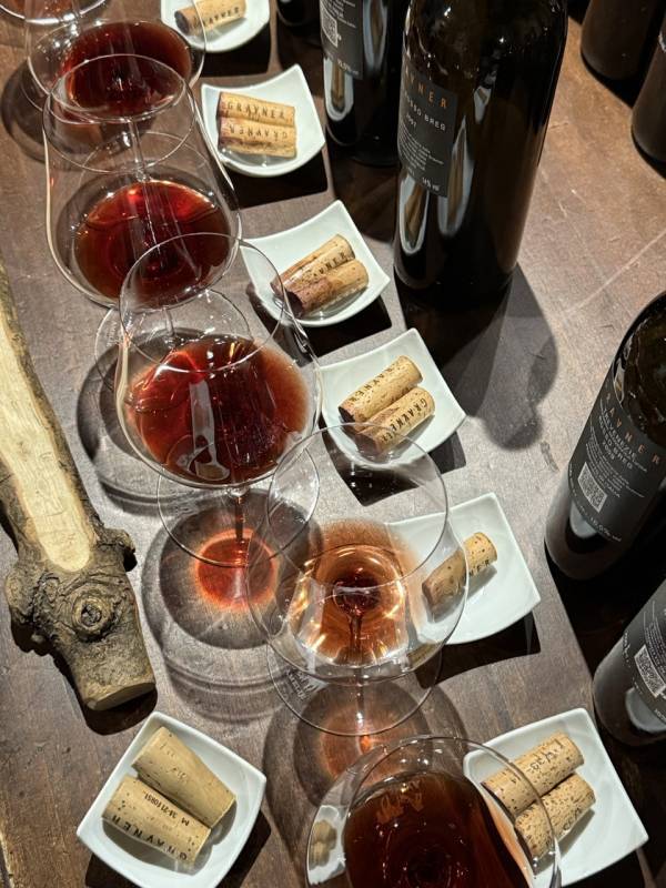 Josko Gravner