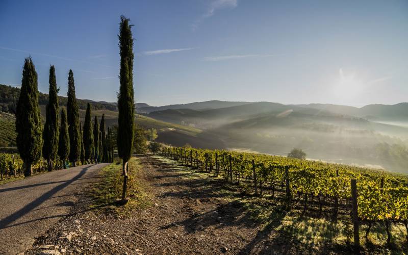 Montevertine