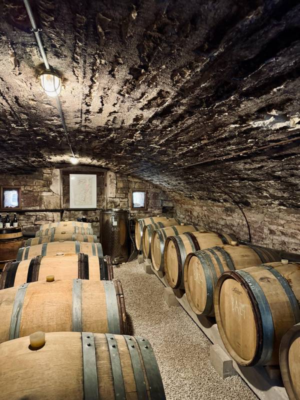OMA Santenay