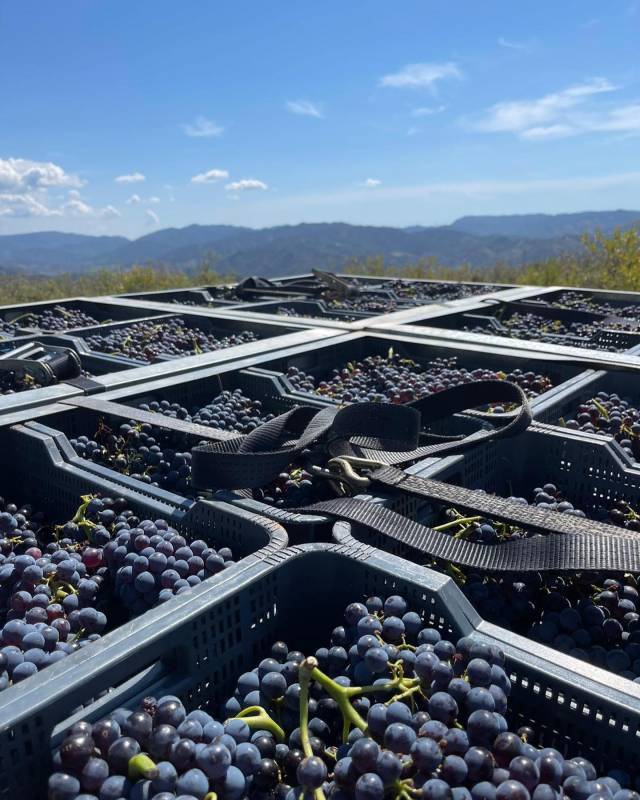 Terroir Al Limit