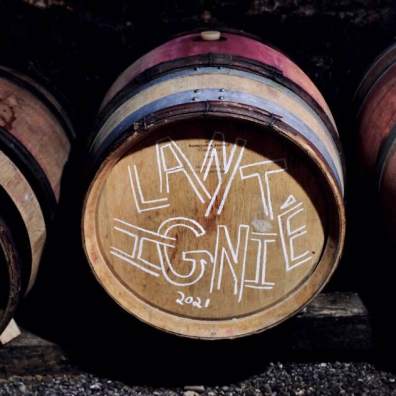 Vin Noé