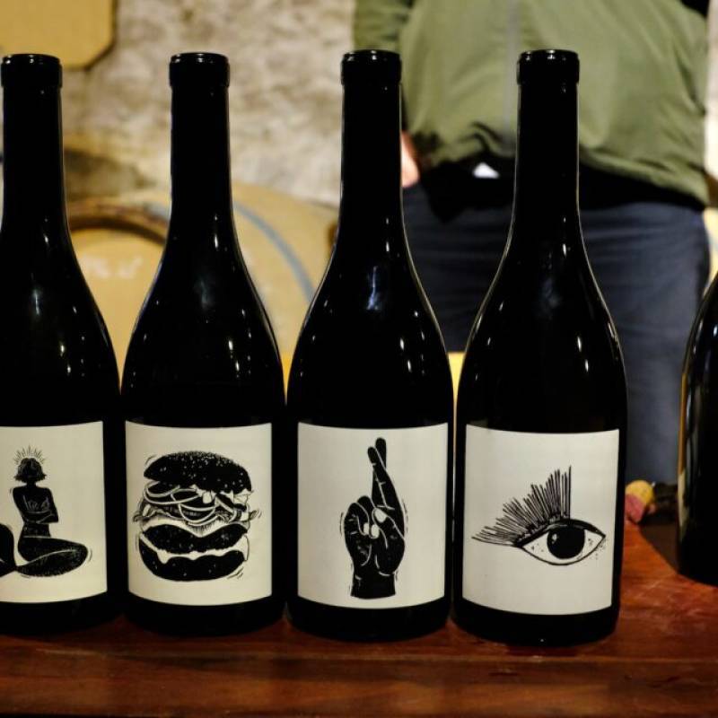 Vin Noé