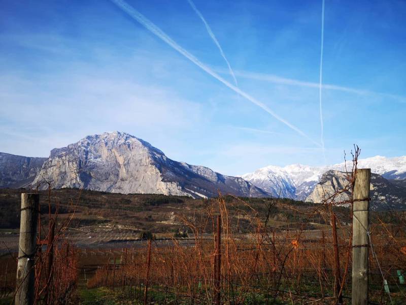 Alpi dell'Adamello