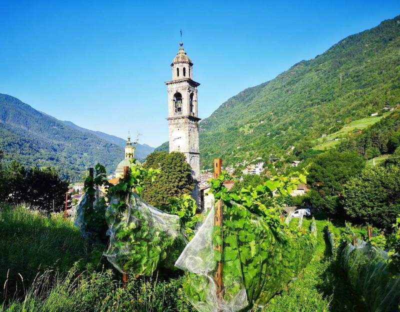 Alpi dell'Adamello