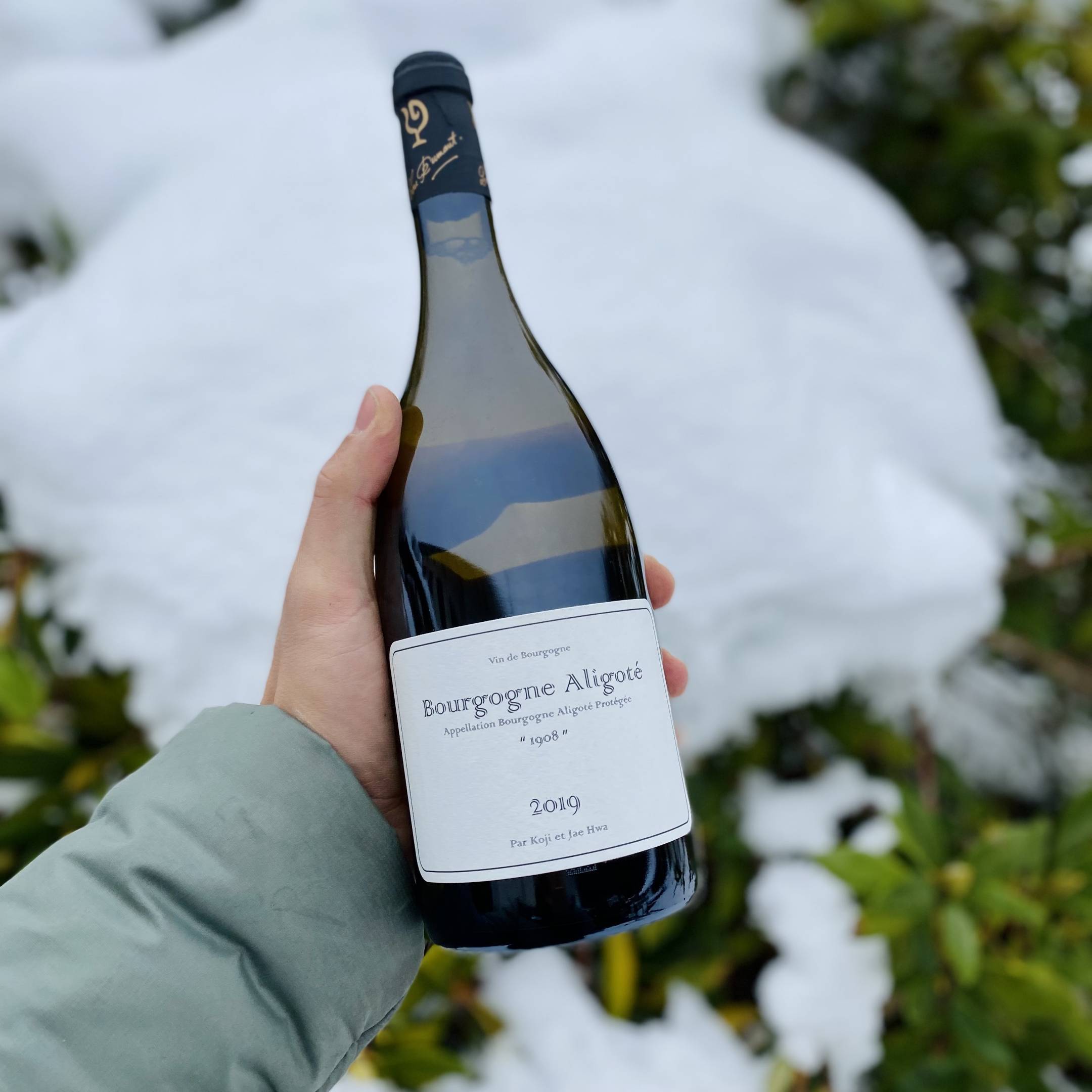 Nakada Koji Aligoté Vecchie Vigne “1908”
