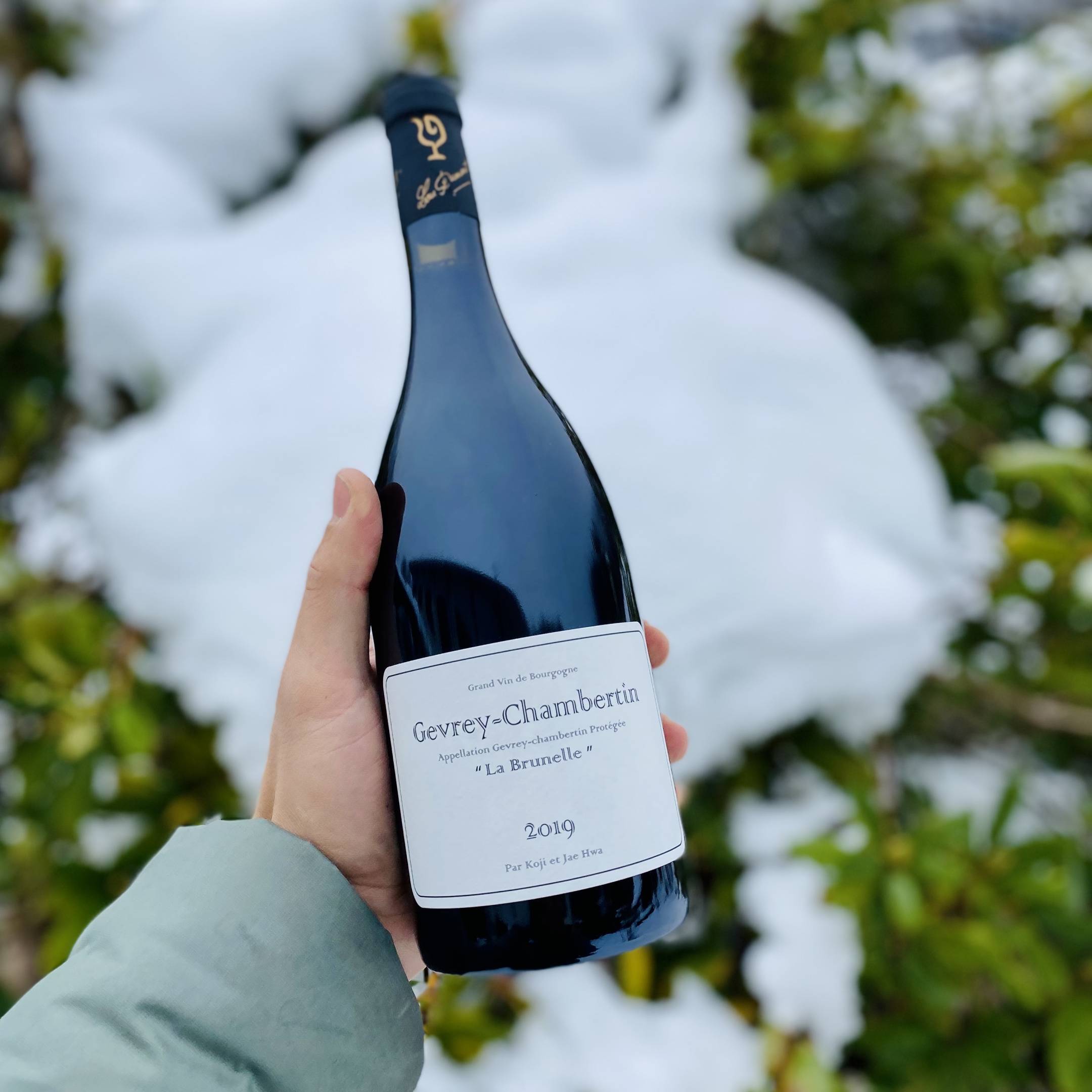 Nakada Koji Gevrey - Chambertin “La Brunelle”