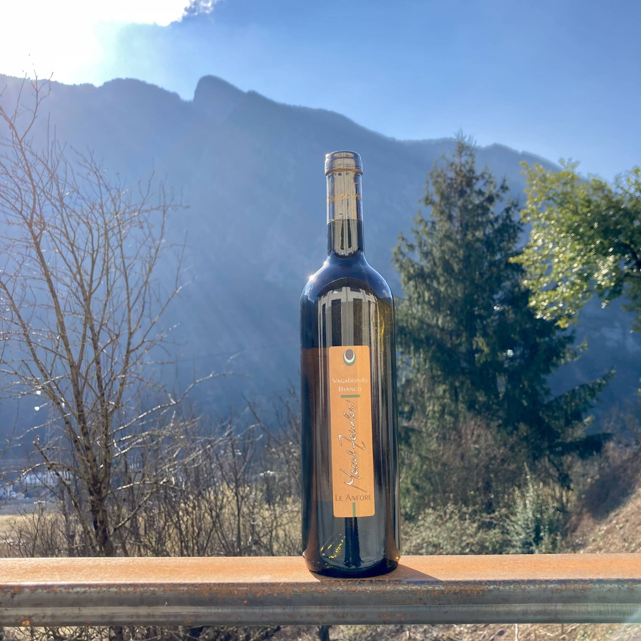 Marcel Zanolari Vagabondo Bianco - Le Anfore