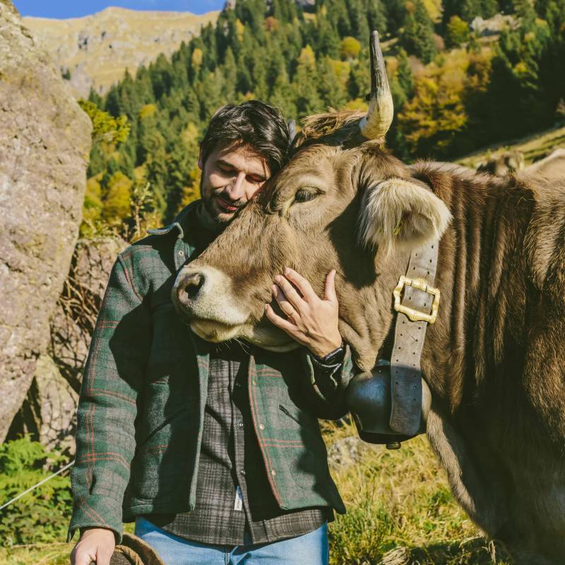 Formai del Ferdy Green