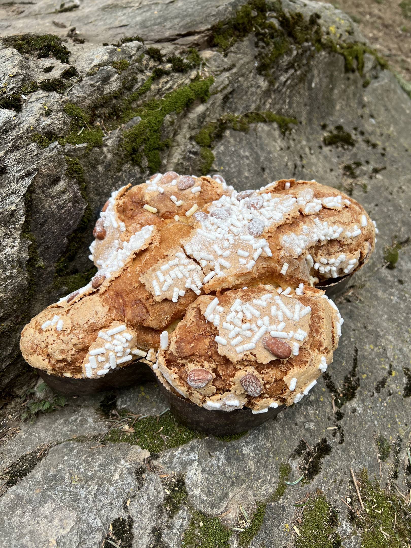 Colomba Wild: La pasqua con i profumi delle Orobie