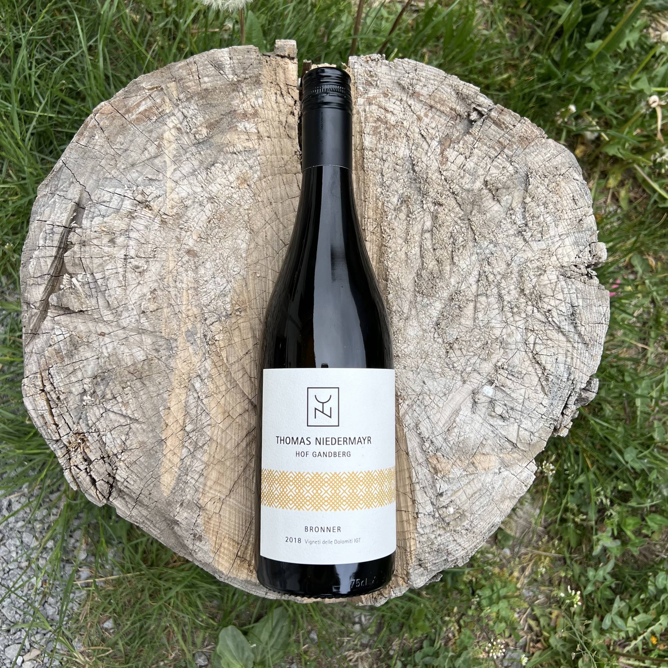 Thomas Niedermayr Bronner 2017