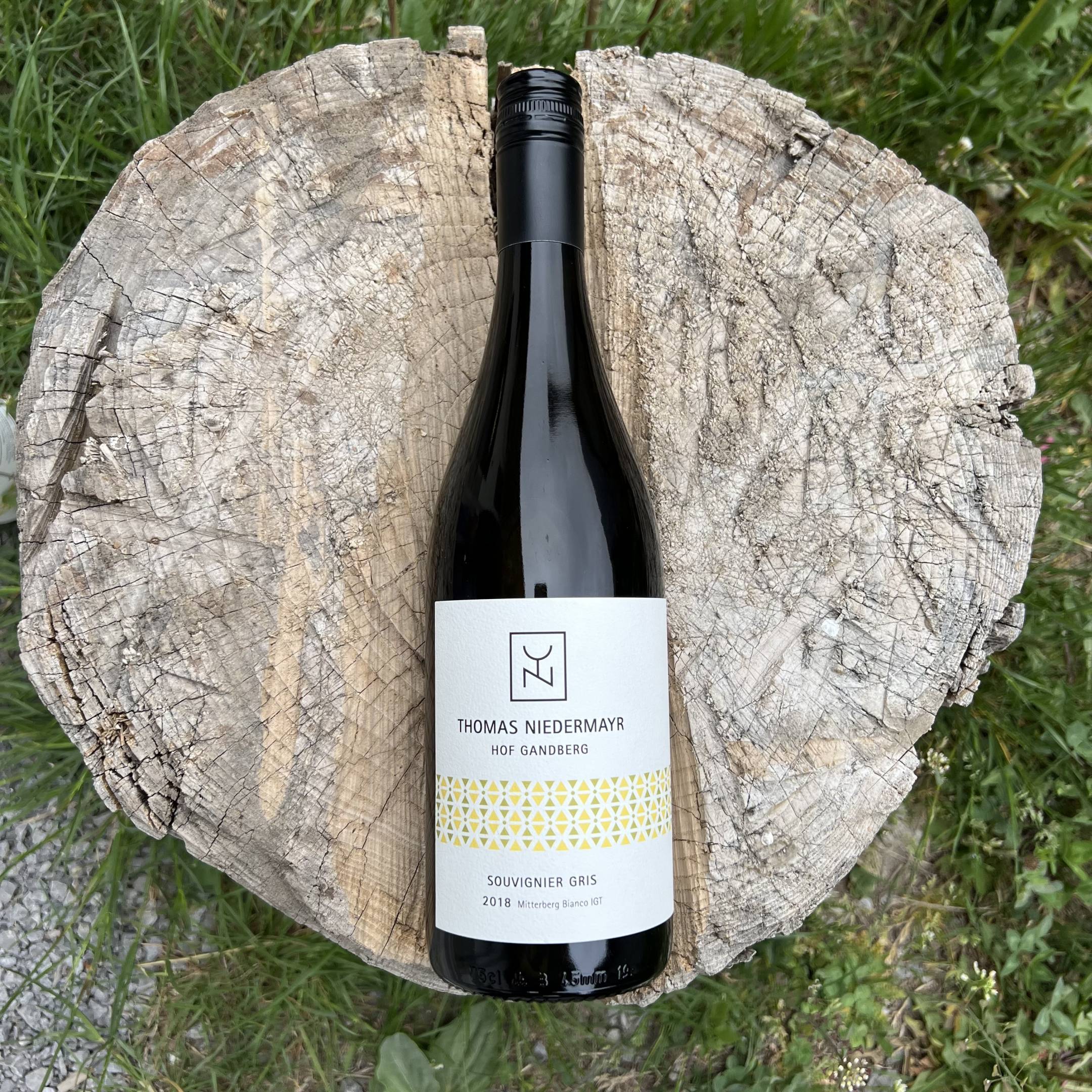 Thomas Niedermayr Souvignier gris 2021