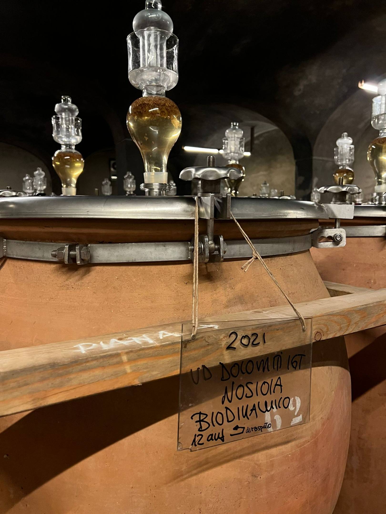 Quattro vigneron dell'Alto Adige