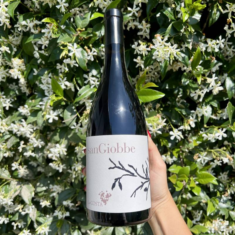 San Giobbe 2020
