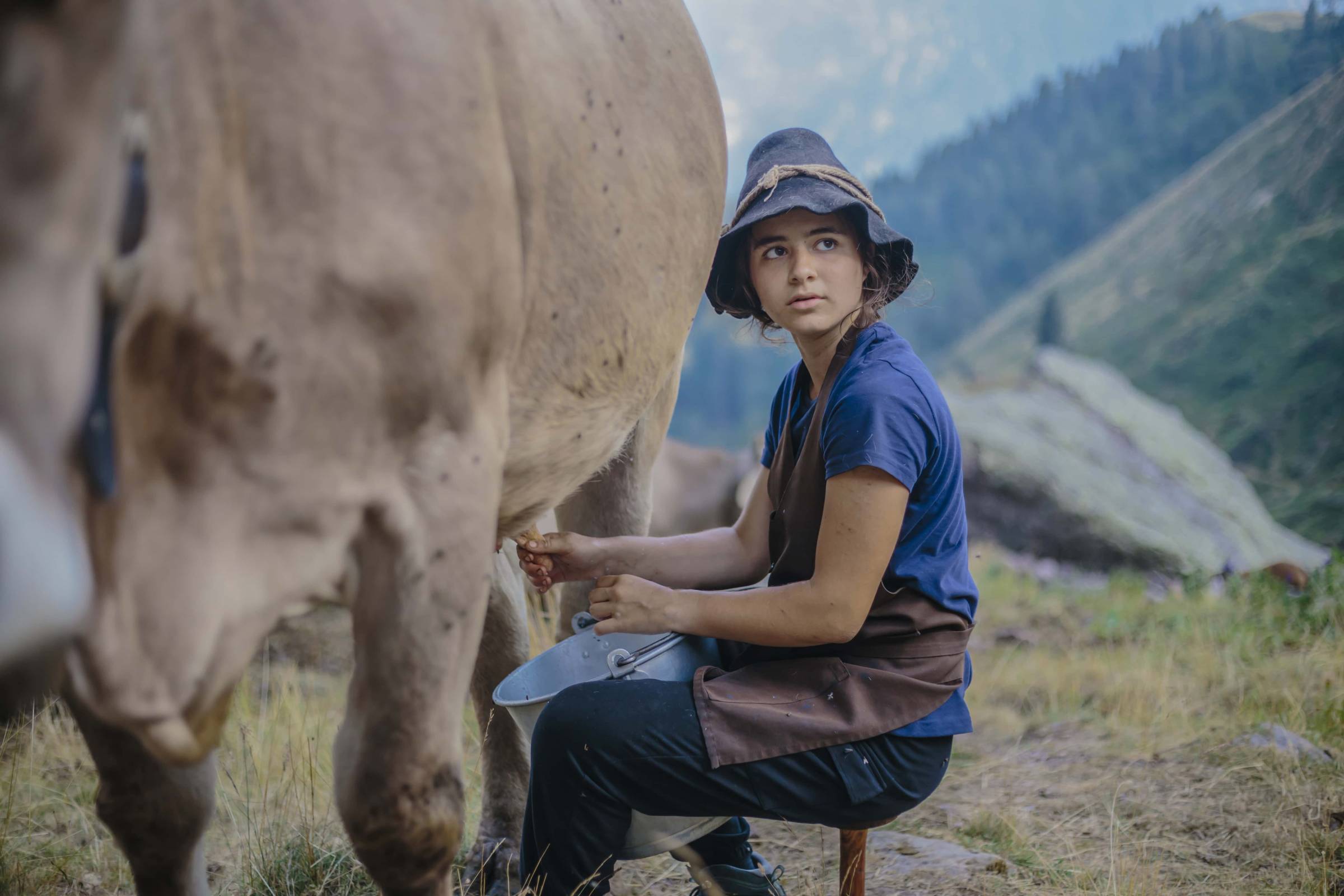 Diario d'Alpeggio: Matilde, dalle settimane verdi alle stagioni in Alpe con Ferdy