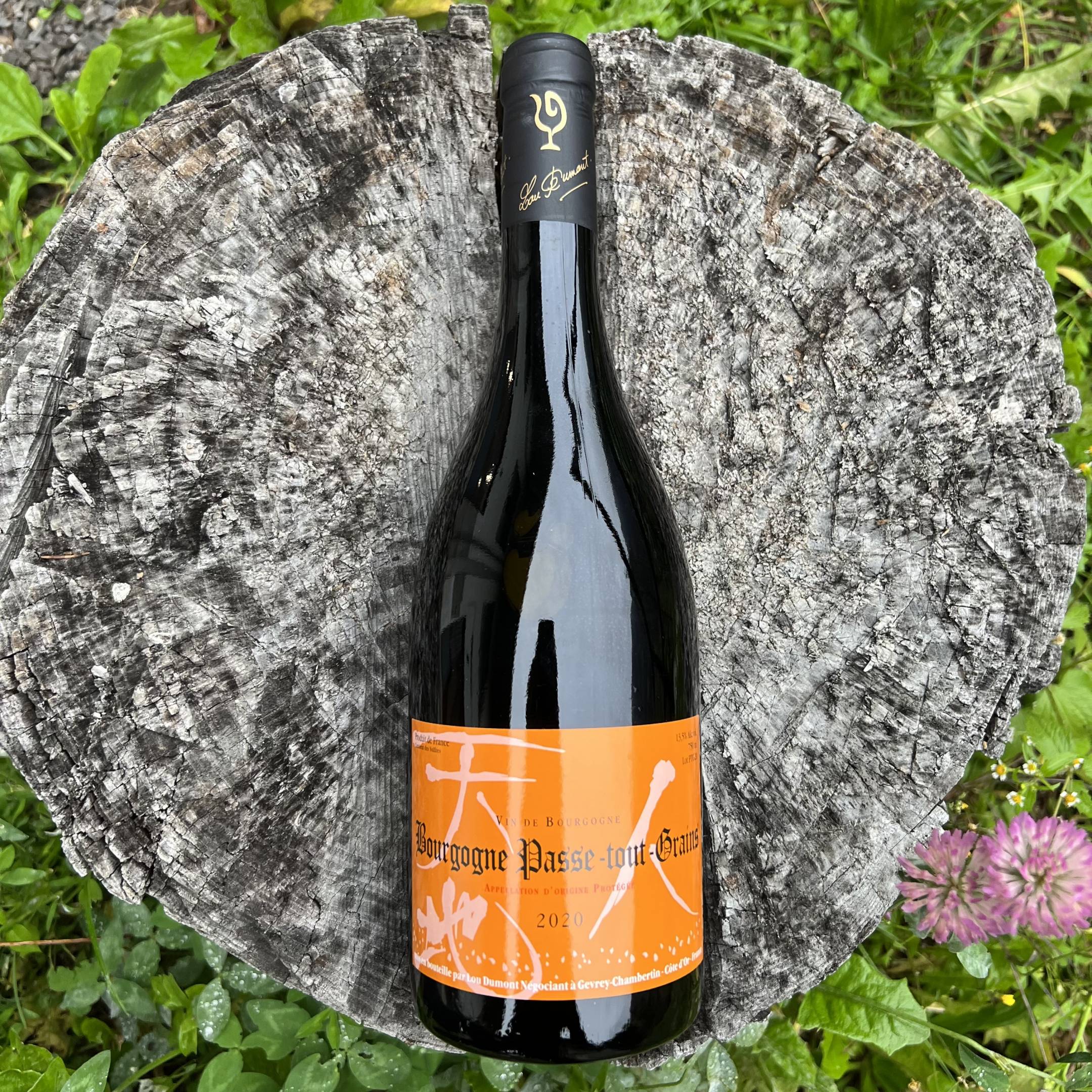 Nakada Koji Bourgogne Passe-tout-Grains