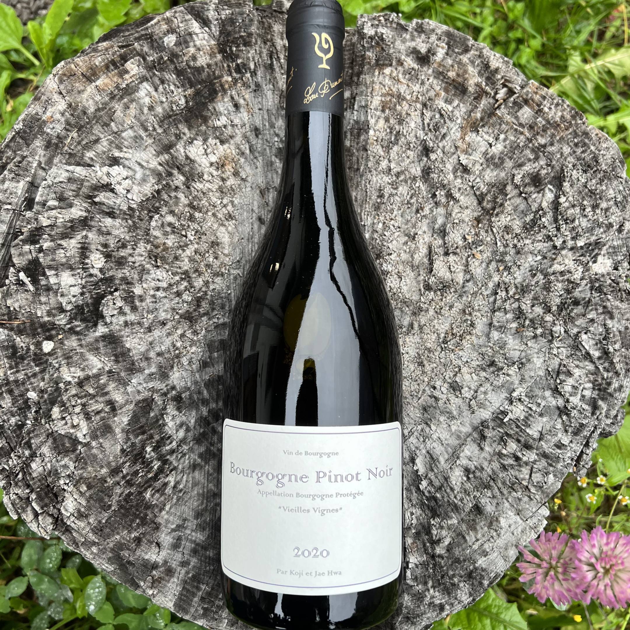 Nakada Koji Bourgogne Pinot Noir Bio