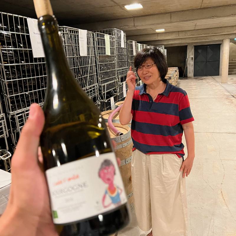  Bourgogne Blanc Koji - Cuvée famille 2020 Bio Lou Dumont