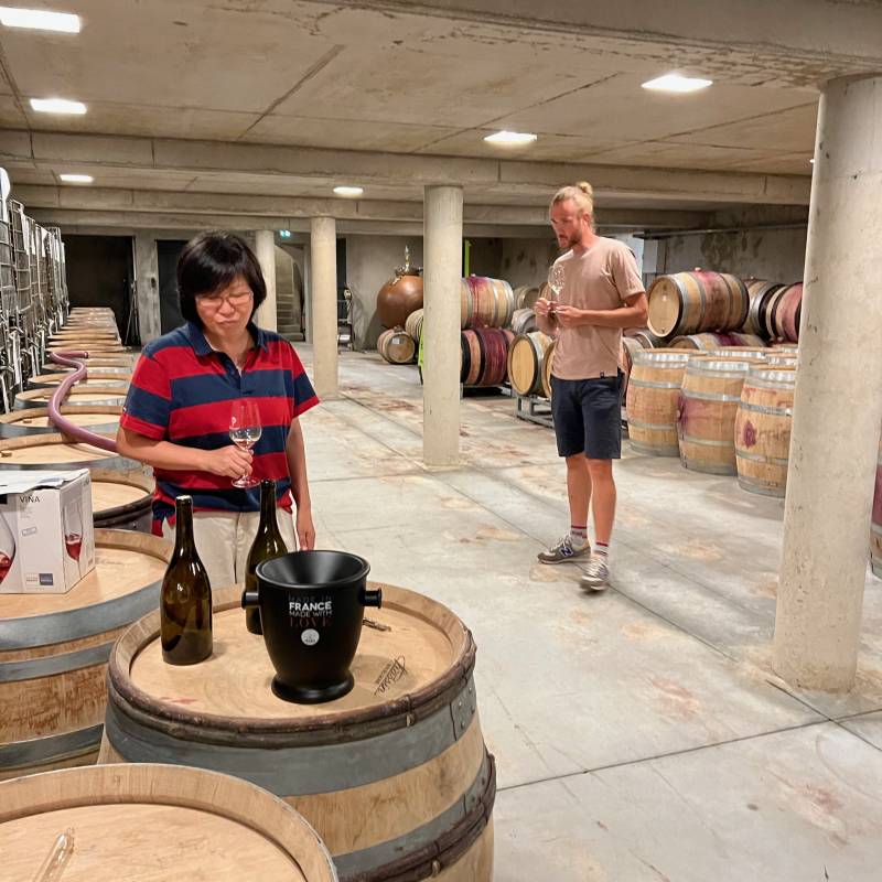  Bourgogne Blanc Koji - Cuvée famille 2020 Bio Lou Dumont