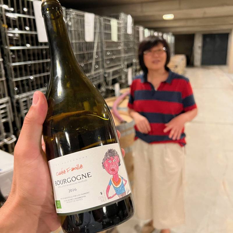  Bourgogne Blanc Koji - Cuvée famille 2020 Bio Lou Dumont