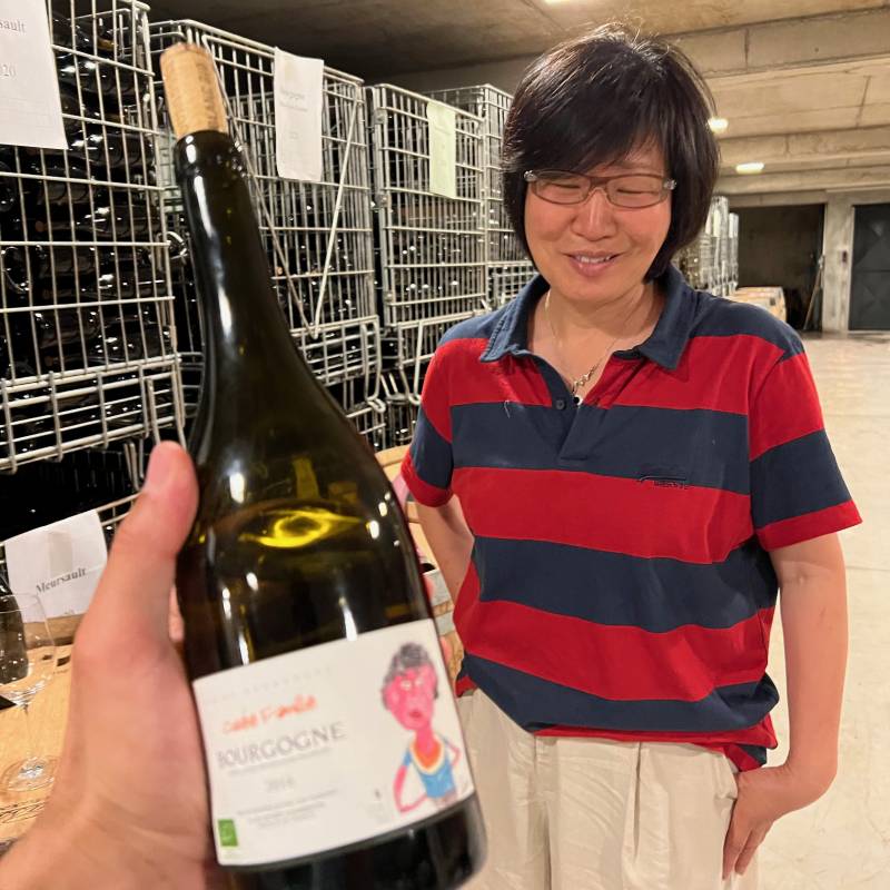  Bourgogne Blanc Koji - Cuvée famille 2020 Bio Lou Dumont