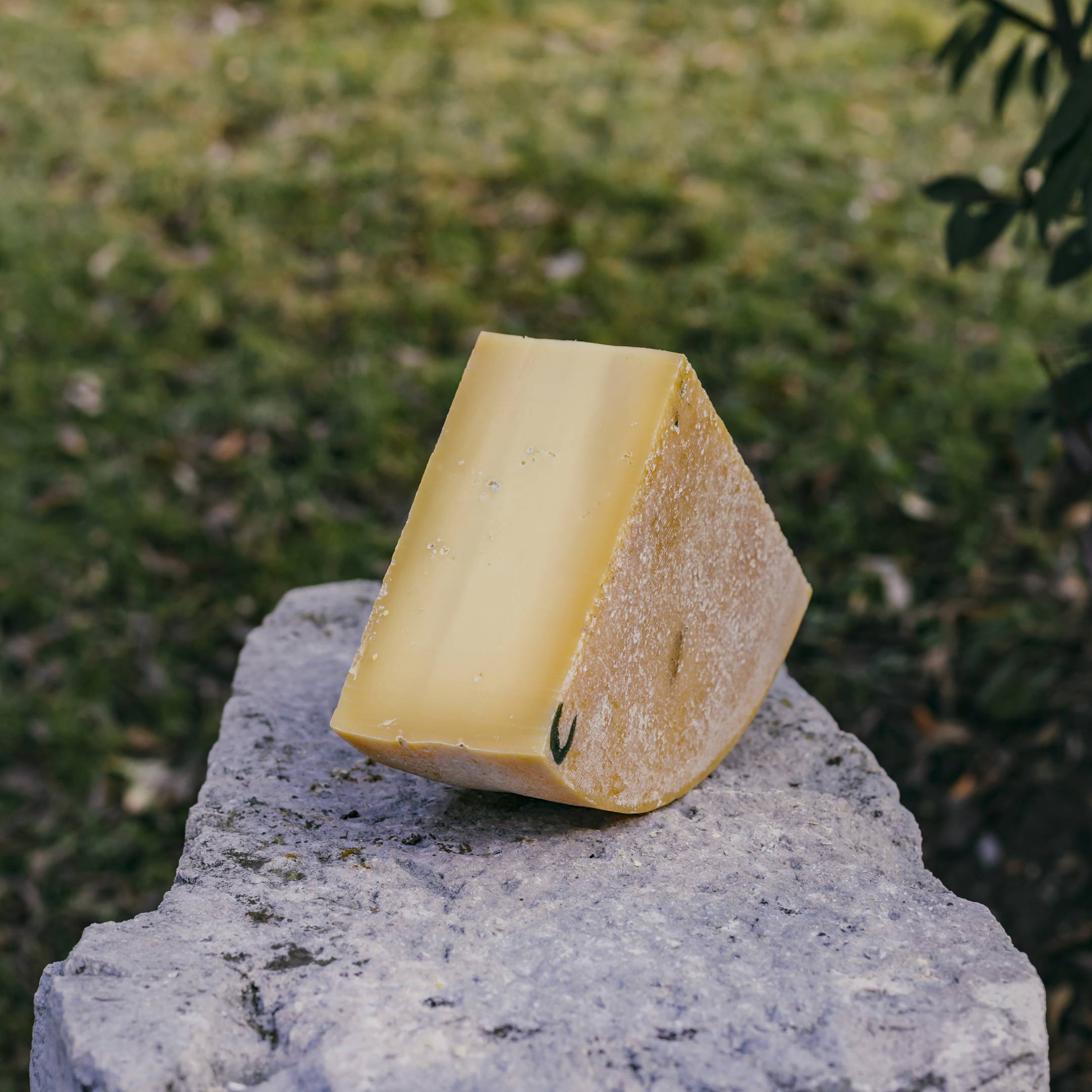 Daniel Moioli Formaggio d'Alpeggio Camisolo