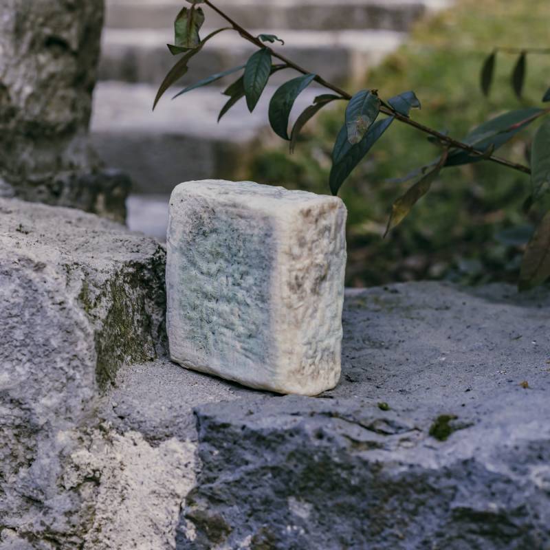 Recudino Stracchino misto