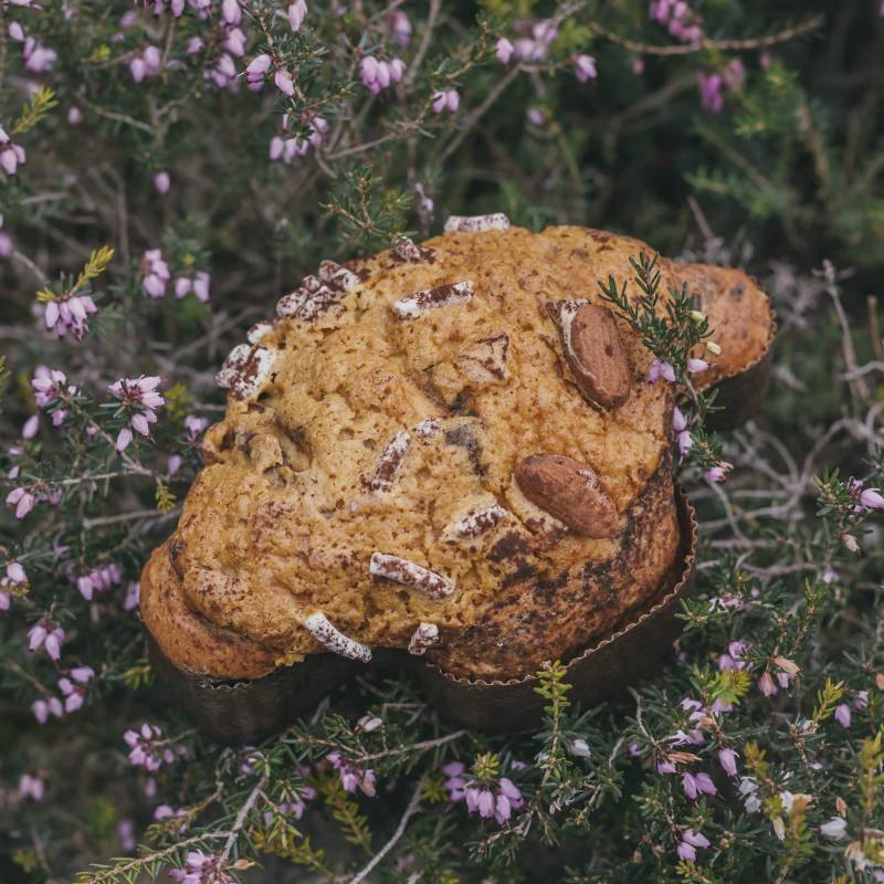 Mini Colomba cioccolato al fieno caramellato