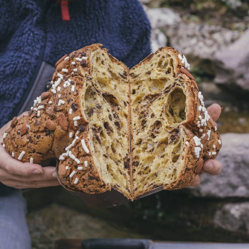  Colomba cioccolato al fieno caramellato