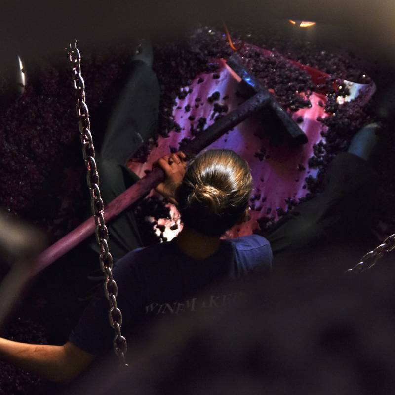 Chiara Condello Sangiovese Predappio Magnum