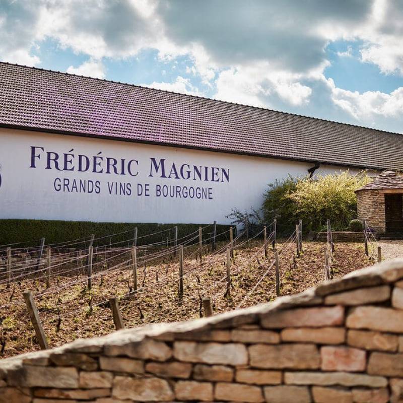 Domaine Michel Magnien Nuit St. Georges Vieilles Vignes AOC