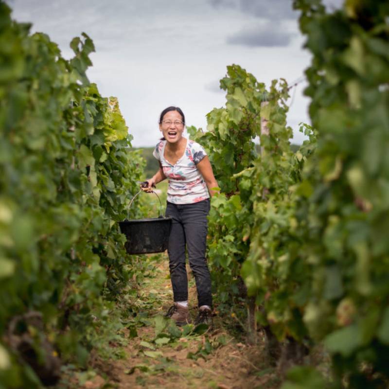 Chantereves Savigny Les Beaune
