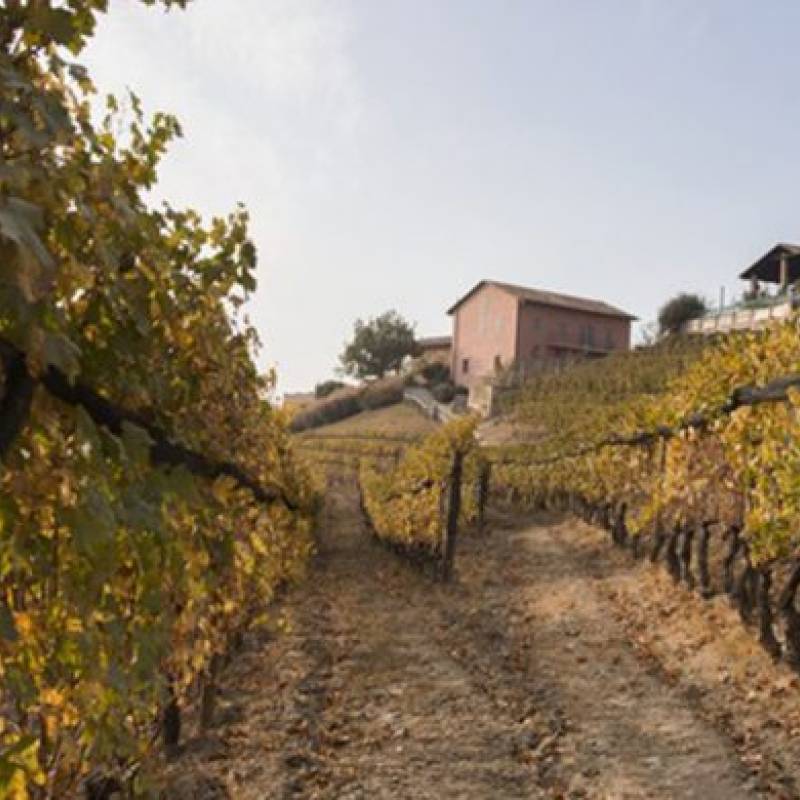 Francesco Clerico Barolo Bussia