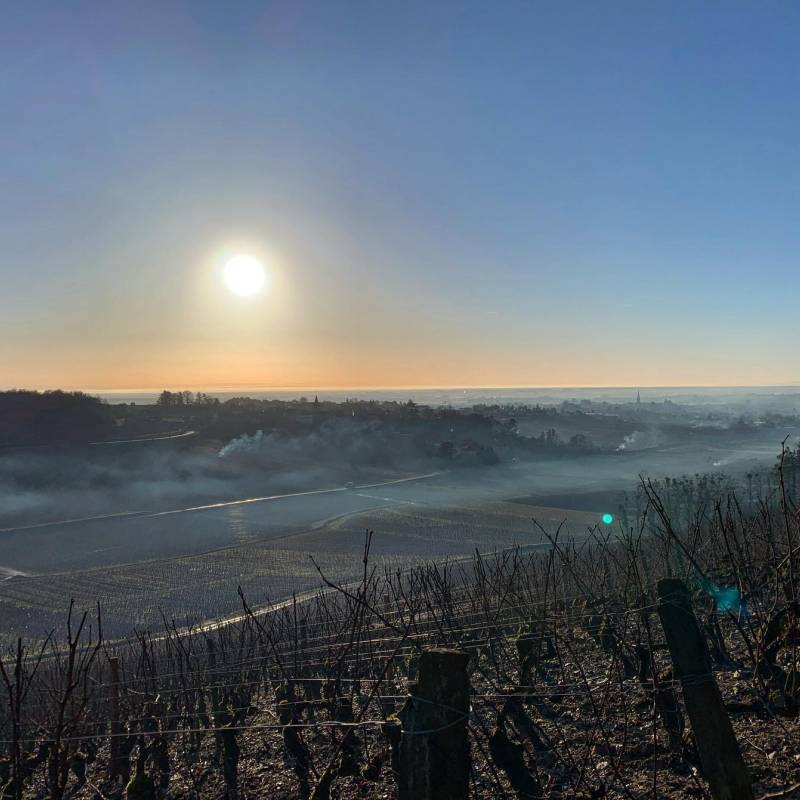 Maison A&S Gevrey Chambertin