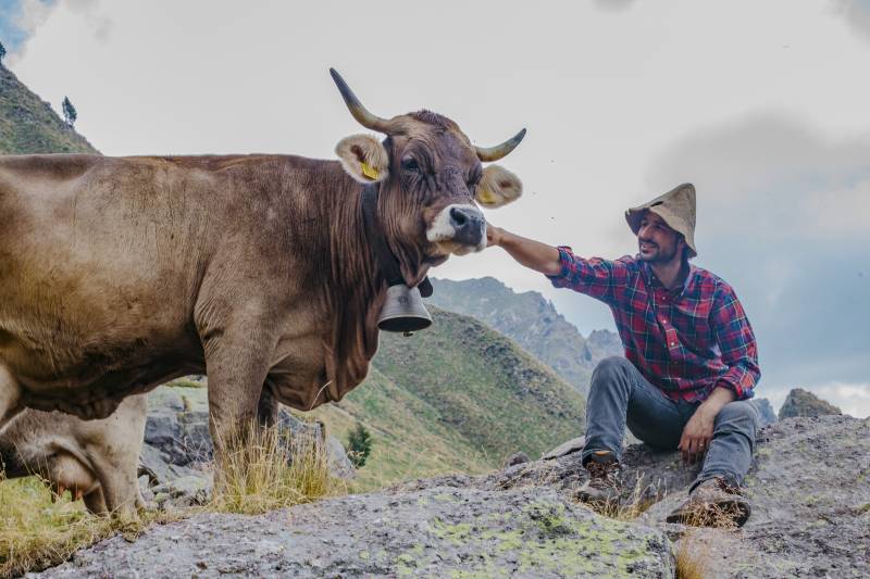 Carne sintetica: la nostra opinione