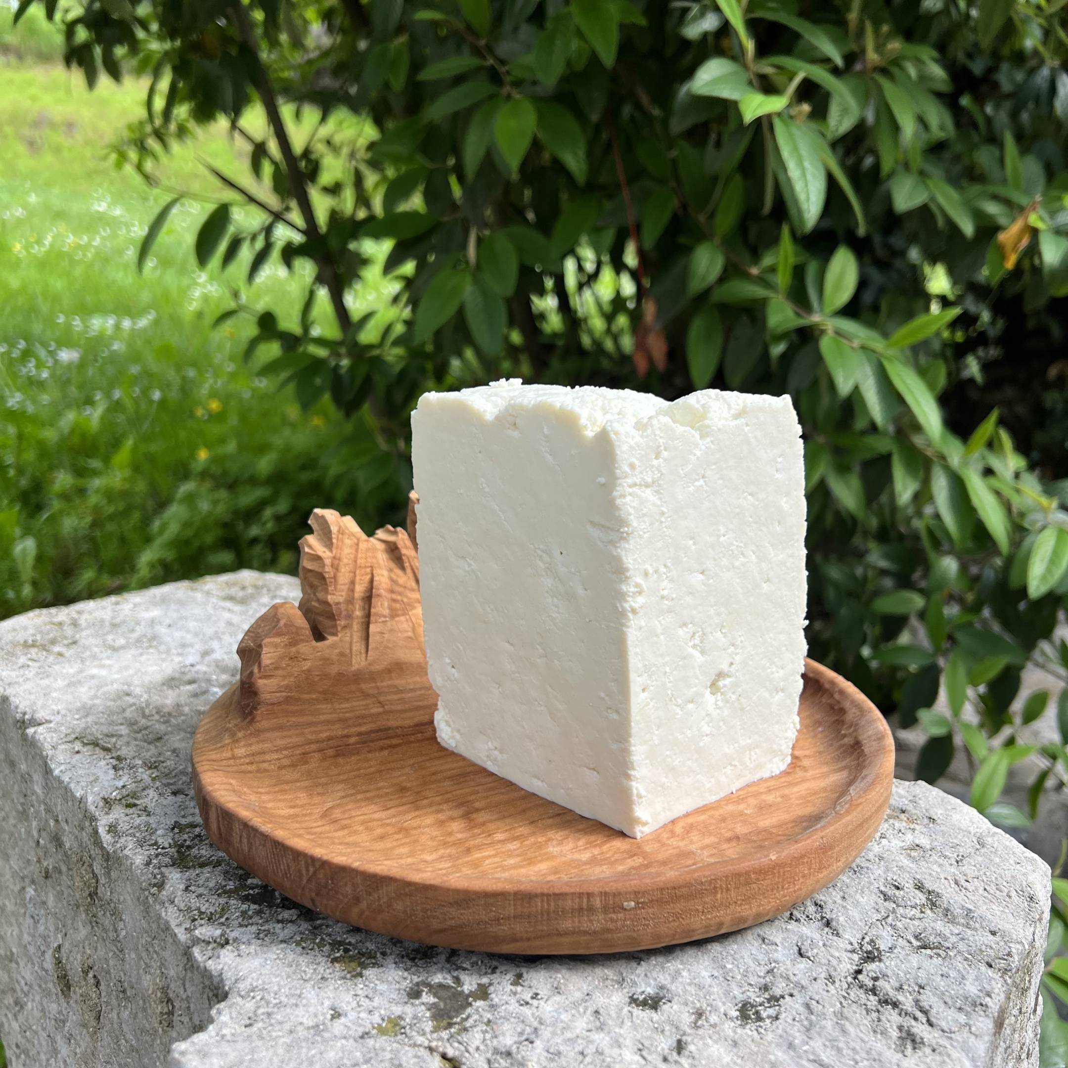 Ricotta Fresca