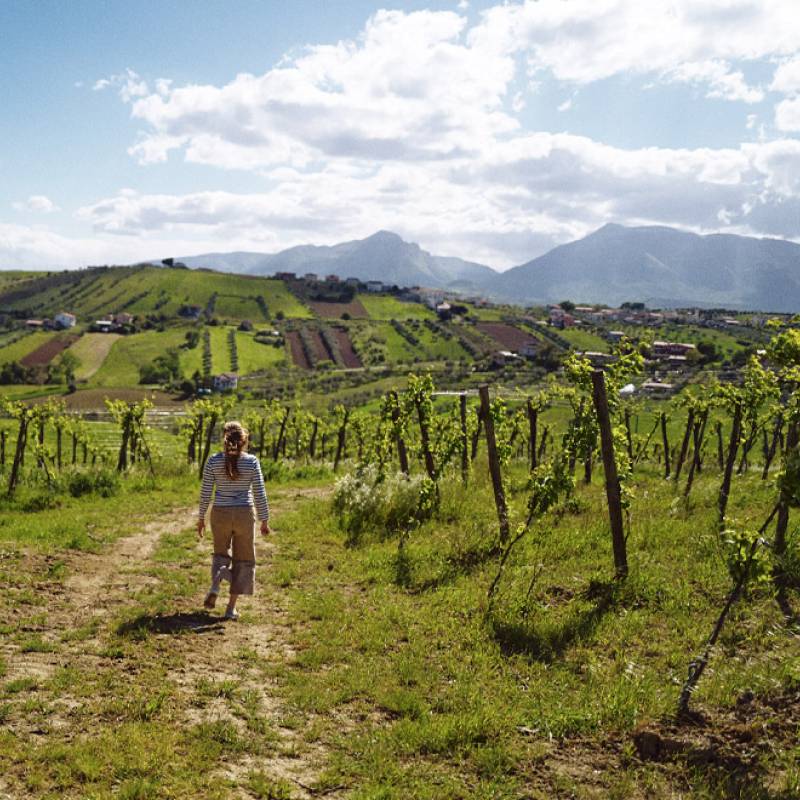Emidio Pepe Trebbiano d'Abruzzo 2021