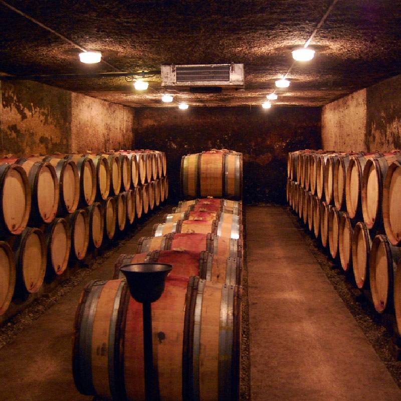 Domaine Lucien Boillot Volnay 1er cru Les Caillerets 2020