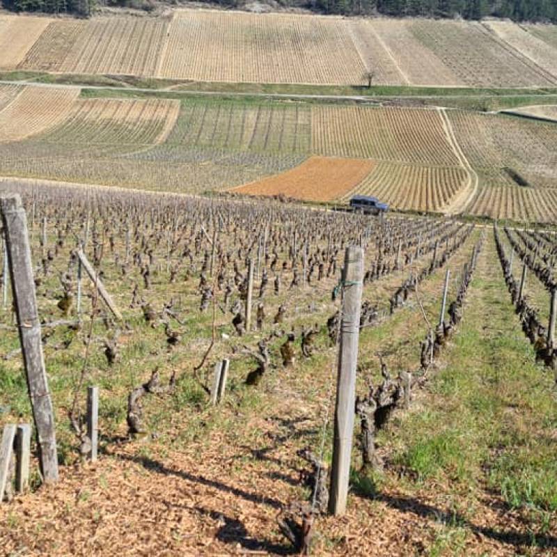 Domaine Jean-Marc Boillot Macon Lugny Les Genievres 2021